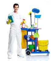 professional cleaning london